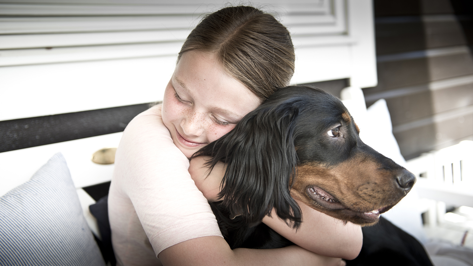 Hva Skjer Når Hunden Dør